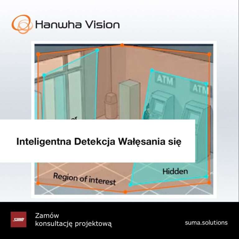Inteligentna Detekcja Wałęsania się