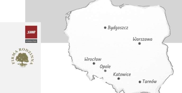 KOSULTING- 100% możliwości z firmowego monitoringu